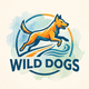 Translation missing: en.WildDogs accessibility.home
